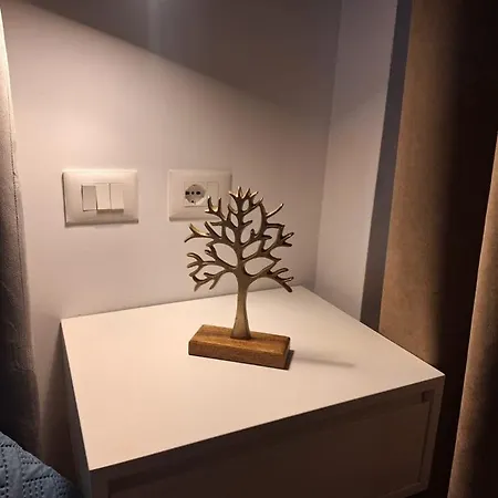 Center * تيرانا